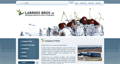 Desktop Screenshot of labridisbros.com