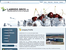 Tablet Screenshot of labridisbros.com